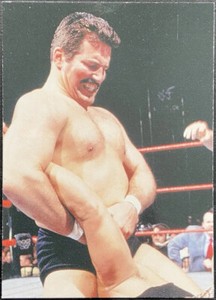 1998 Dan Severn WWF Comic Images Superstarz #42 Rookie Card RC VTG Attitude Era