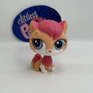 SUGAR SPRINKLES CAT #3822 - Authentic Littlest Pet Shop - Hasbro LPS - Bild 1 von 4