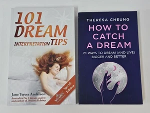 How To Catch A Dream & 101 Dream Interpretation Tips Special Edition (Paperback) - Picture 1 of 7