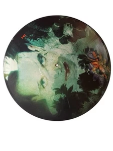 The Cure Disintegration LP Vinyl Picture Disc with printed plastic sleeve RARE - Bild 1 von 3