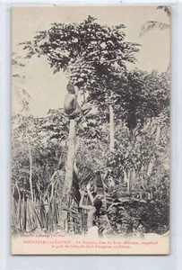 Nouvelle-Calédonie - Le Papayer - Ed. J. Bergeret - Picture 1 of 2