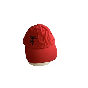 Fireball Cinnamon Whiskey Strapback Adjustable Hat Cap Baseball Red 100% Cotton - Picture 1 of 9