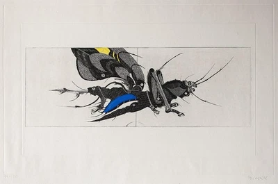 Carl Bianga Insekten Abstrakt Pop Art signiert koloriert Radierung 1972 74/100 - Bild 1 von 2
