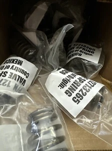 Genuine OEM GM #19420455 Chevy LS Valve Spring Set Kit (12713265) - Singles - Picture 1 of 3