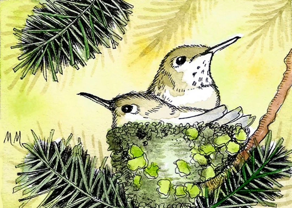 ACEO original watercolor painting with Pen & Ink Hummingbird - Image 1 of 1