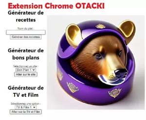 Extension Google Chrome Otacki - Recette / Bon Plan / TV & Film - Photo 1/2