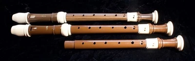2 of the best Yamaha, Aulos plastic alto recorders, w/extra bore and soft case - Image 1 of 4