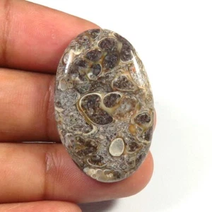 Polished Turtella Brown Gemstone 33x21mm Natural Turtella Smooth Oval Cabs TU-63 - Bild 1 von 9
