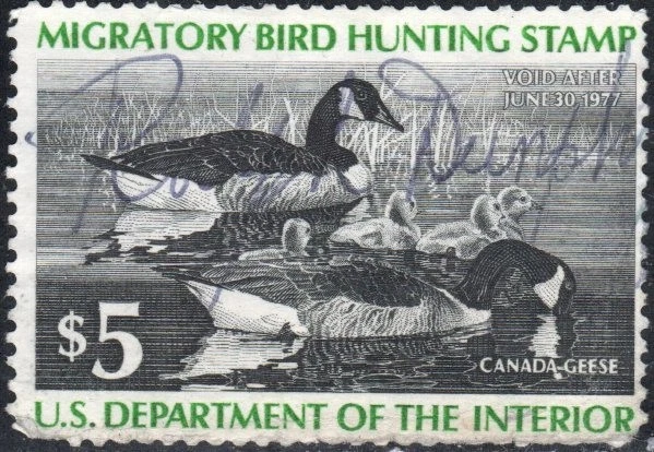 US Scott #RW43 Duck Stamp, used - Image 1 of 1