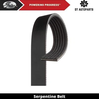 Correa serpentina para puertas alternador Honda Civic 2001-2005 2002 2003 2004 Foto 1 de 4