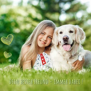 Würgehalsband aus Leder für Hunde Halsband - Picture 1 of 2