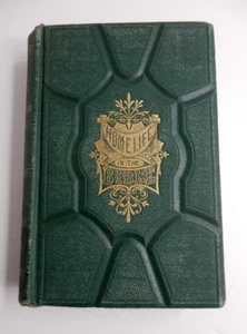 1873 Home Life in the Bible Vintage Bible by Revered Daniel March Antique - Imagen 1 de 10