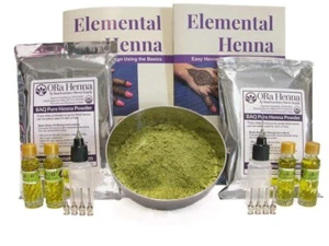 FUNDRAISER Powder Henna Kit: Botellas aplicadoras y libro fácil para eventos Festivales - Imagen 1 de 6