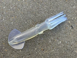 3D SQUIRT SQUID MAULER 12" FISHING LURE DREDGES DAISY CHAINS TUNA MARLIN - CLEAR - Picture 1 of 1