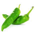100 Green Chili Pepper Seeds Capsicum Hot Cayenne Organic