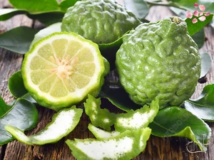 Alteya Organic Bergamot Oil 5ml/10ml – Uplifting & Balancing Citrus Scent - Picture 1 of 17