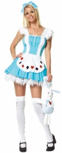 Alice in Wonderland Adult Woman Costume Small - Picture 1 of 1