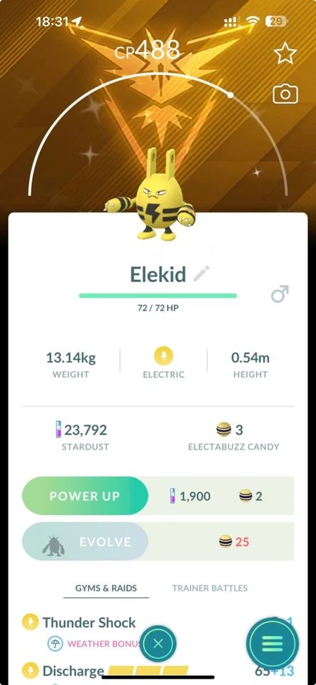 Shiny Elekid wearing a Spark-themed accessory P T C Read Description