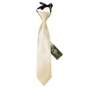 Champagne Boys Elastic Tie Satin Solid Plain Wedding Pre-Tied 2-7 Yrs by DQT - Picture 1 of 2