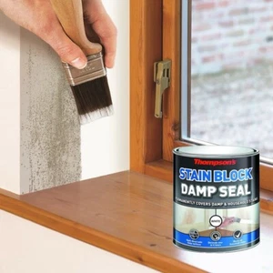Thompson's 250ml White Stain Block/Damp Seal Paint (Covers & Prevents) - Picture 1 of 3