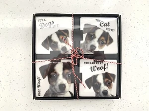 New Ceramic Funny Saying Dog Coasters Home Decor Pet Cup Coaster Gift Box Set x4 - Picture 1 of 10