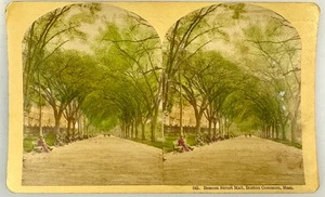 SV027_061 Stereoview MA. Boston Commons, Beacon Street Mall handkoloriert - Bild 1 von 1