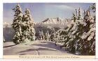 Skiing at Mt. Baker, WA Dept. of Conservation & Development Postcard 1940s