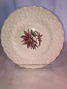Spode Bermuda Blumen Weihnachtsstern 9 Zoll Teller neuwertig - Bild 1 von 4