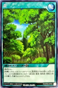 Yugioh Rush Duel RD/KP03-JP053 Forest Rare - Picture 1 of 2