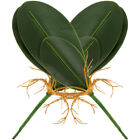 2 pièces feuilles d'orchidée végétale décoration maison feuilles de bricolage plantes artificielles