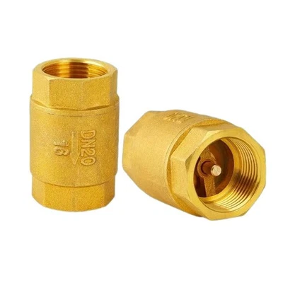 Brass Spring Check Valves : Non-Return Valves : Sizes 1/2" To 4" BSP - Image 1 of 3
