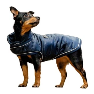 Horseware Signature Padded Dog Rug - 200g - Picture 1 of 2
