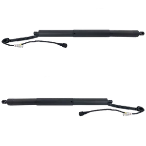 Set of 2 Liftgate Lift Supports Driver & Passenger Side Left Right for X5 Pair - Picture 1 of 1