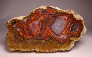 XL Agua Nueva Agate Thick Slab Collector Specimen Rock Mexico - Picture 1 of 5