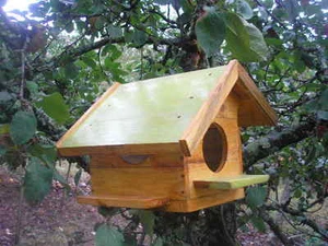 CASITA de madera para pájaros + regalo de cereales - Imagen 1 de 1