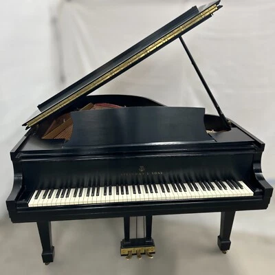 Piano de cola Steinway & Sons modelo M 1980 Foto 1 de 4