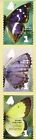Finland 2007 MNH - Butterflies - Butterfly - Full Set of 3 Definitive Stamps