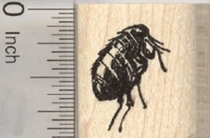 Estampilla pequeña de goma pulga 0,8 pulgadas A27927 WM - Imagen 1 de 1