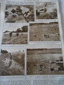 Some aspects of The Bad Harvest Damage by Rain Gales and Floods 1946 Print - Picture 1 of 1