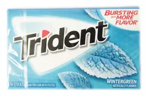 Trident Wintergreen Kaugummi 14 Sticks 24 Packungen Kostenloser Versand - Bild 1 von 1