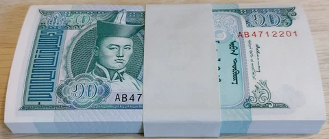 100 PCS MONGOLIA MONEY 10 TUGRIK 1993 ND CURRENCY BUNDLE BANKNOTE MONEY NOTE UNC Cover