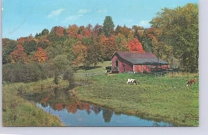 New England Farm Lands In Early Autumn, Cows, Vintage Chrome Postcard - Picture 1 of 2