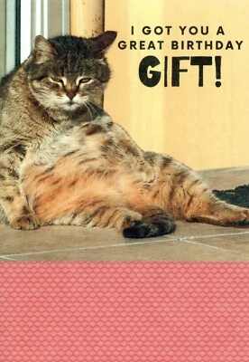 Funny Animal BIRTHDAY Card, Fat Cat Dead Bird Gift — Recycled Paper Greetings +✉ - Image 1 of 4