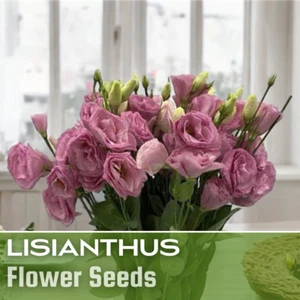 Lisianthus Seeds - 100 Seeds Garden Bloom Flower Seed Flowers Non Gmo Heirloom - Picture 1 of 33