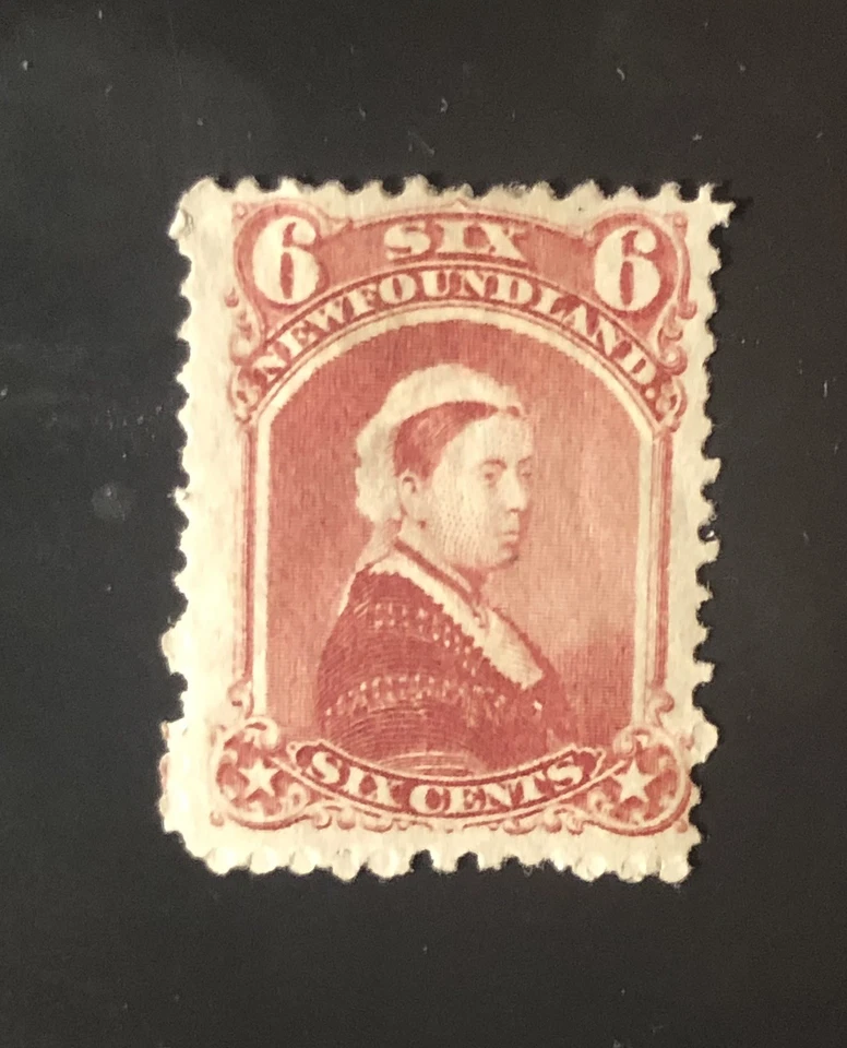 Estampillas Terranova Sc35 6c rosa opaca como nuevas Reina Victoria de 1870, ver detalles. Foto 1 de 4