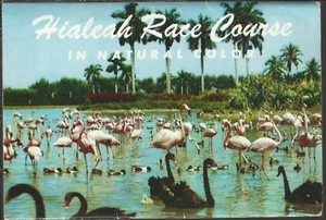HIALEAH RACE COURSE Souvenir Folder ~ 1954 - Bild 1 von 2