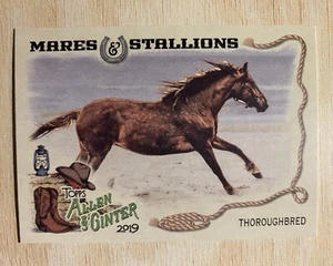 2019 Topps Allen & Ginter - Mares & Stallions #MS-3 Thoroughbred Horse - Picture 1 of 2