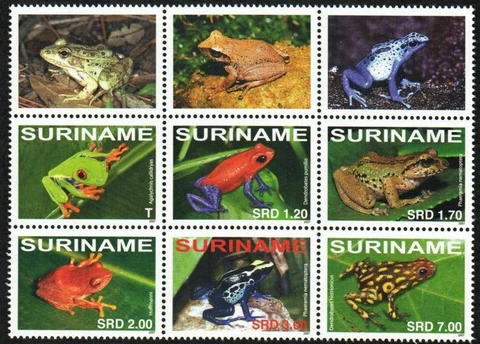 Surinam Stamp 1365  - Frogs Cover