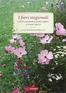 I fiori stagionali - Bild 1 von 1