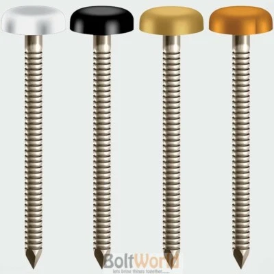 BOLT WORLD 50mm, PLASTIC HEADED STEEL NAILS & PINS, PLASTOP, UPVC FASCIA CLADDING